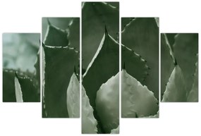 Kép - Zöld agávé (150x105 cm)