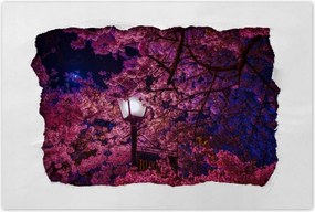 Poszterek 90x60 Mély éjszaka Lámpa Virágok