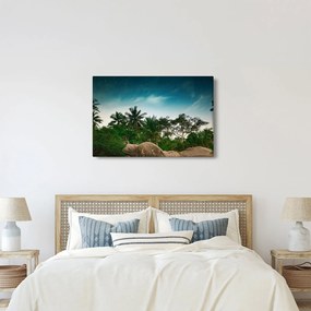 Kép - pálmafák (90x60 cm)
