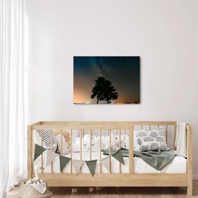 Egy éjszakai égbolt fákkal képe (70x50 cm)