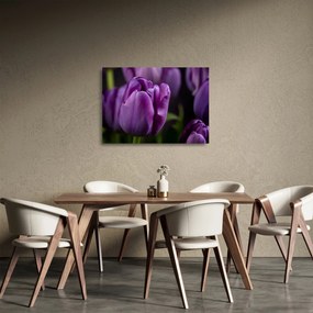 Tulipán vírág képe (üvegen) (70x50 cm)