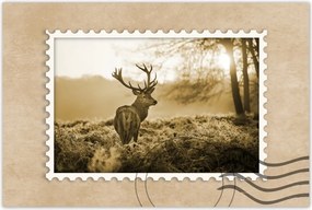 Poszterek 120x80 Szépia szarvas