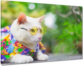 Vászonkép 100x70 Cica Cicák Macskák