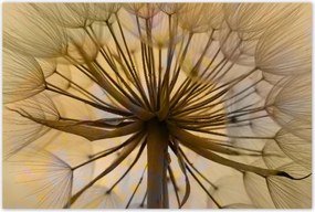 Poszterek 120x80 Pitypang Virág Virágok