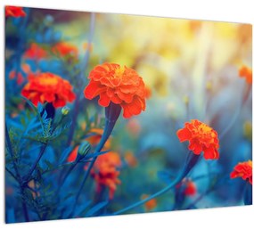Kép - Narancssárga virágok (üvegen) (70x50 cm)