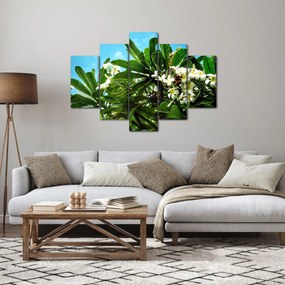 Kép - Plumeria (150x105 cm)