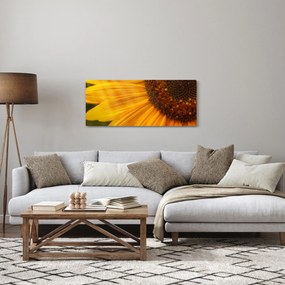 Kép - Napraforgók (120x50 cm)
