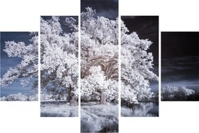 Kép - Hófehérke fa (150x105 cm)
