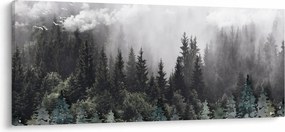 Kép - Erdő illusztrált elemekkel (120x50 cm)