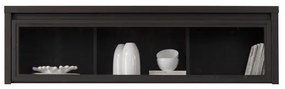 Vitrin falra Kasey SFW1W/140 (Wenge). 735088