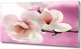 Fotótapéta üvegfalra Őszi fák 125x50