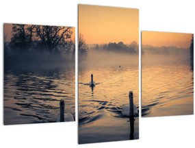 Hattyúk a vizen és a ködben képe (90x60 cm)