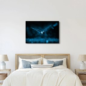 Egy repülő bagoly képe (90x60 cm)