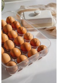 Műanyag tojástartó hűtőbe 33x21 cm – Casa De Engel
