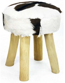 Fából készült hokedli (szék) kecskebőrből VAN DER LEEDEN 1915, 50 cm