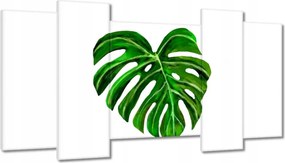 Vászonkép 120x65 Monsera levél lyukas