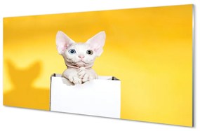 Üvegképek ül macska 125x50 cm