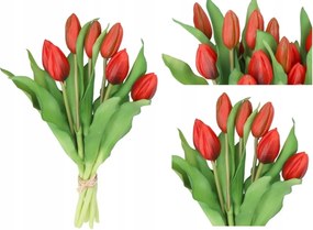 Tulipán Csokor Tulipán Gumis, Élő 7DB