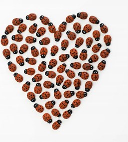 Poszter 40x40cm Fehér alapon katicabogár szív, Assaf Frank