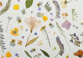 Fotótapéta Flizelin Dekoratív Hálószoba Tavaszi virágok 208x146 Ragasztó