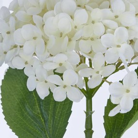 FLORISTA hortenzia 72cm fehér
