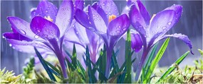 Virágok az esőben képe (120x50 cm)