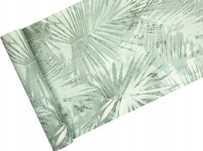 Háttérképek zöld egzotikus Pálmalevelek