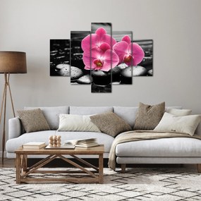 Kép - Rózsaszín orchideák (150x105 cm)