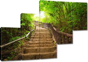 Vászonkép 150x105 Lépcsők az erdőbe