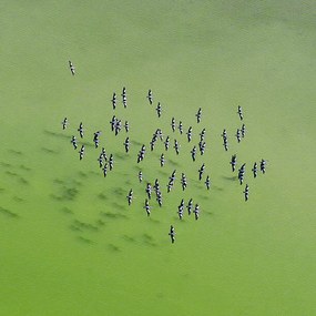 Művészeti fotózás Lake Eyre Aerial Image, Ignacio Palacios, (40 x 40 cm)