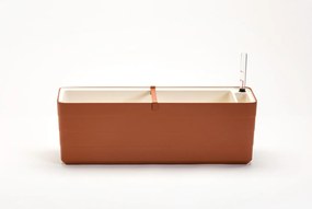 Berberis virágláda 60 cm terrakotta bézs