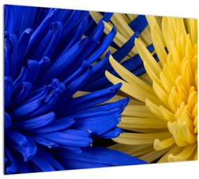 Kép - virág részlet (üvegen) (70x50 cm)