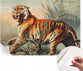 Dekoratív öntapadós fotótapéta Hálószobába Tigris természet 152x104 cm
