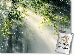 Fotótapéta Flizelina Természet Fa Zöld Levelek Nap 254x184 ragasztó