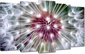 Vászonkép 100x60 Pitypang Virág Virágok