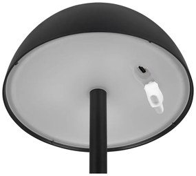 Dimmelhető kültéri lámpa ø 13,5 cm Ricardo – Trio