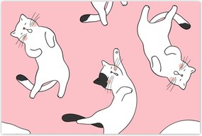 Poszterek 120x80 Cica Cicák Macskák