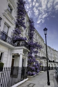 Poszter 61x91,5cm Ház a Portobello úton, Assaf Frank