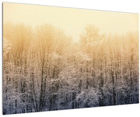 Fagyos erdő képe (90x60 cm)