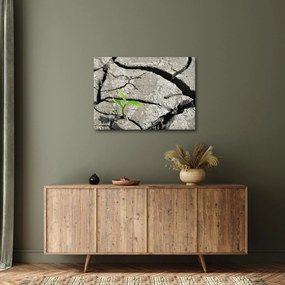 Kép - Repedések (70x50 cm)