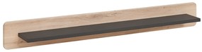 Polc Raydon 20 ANRV RD PW (antracit + tölgy kronberg). 1024054