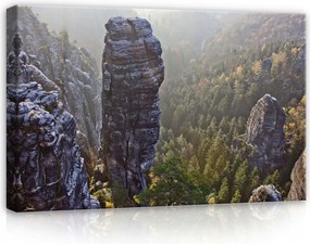 Vászonkép 70x50 Sziklák erdő völgy panoráma természet nyugalom köd