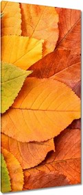 Vászonkép 55x115 Őszi színes levelek Levelek az ősz színeiben