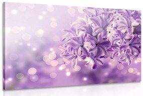 Kép lila orgona virág