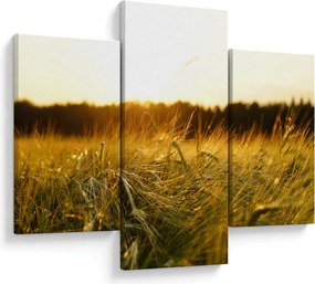 Harmatos fű képe (90x60 cm)