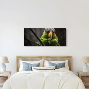 Papagáj képe (120x50 cm)