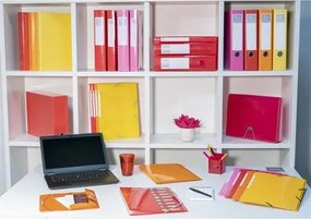 Gyűrűs könyv, 4 gyűrű, 40 mm, A4, karton, EXACOMPTA Iderama, rózsaszín (EX519296E)