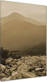 Vászonkép 80x120 Hegyi táj Tájkép