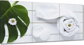 Festmények 120x60 Kozmetikumok a természetből