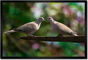 Poszterek keretben 60x40 Szerelem Érzés Párkapcsolat